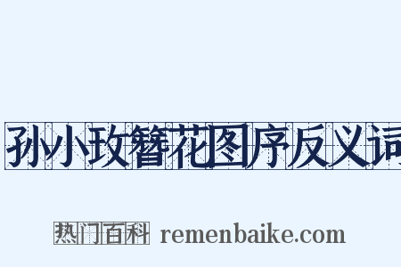 孙小玫簪花图序反义词是什么意思的图片